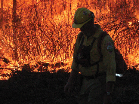 Interventie dificila a pompierilor: incendiu intr-o padure din Bran