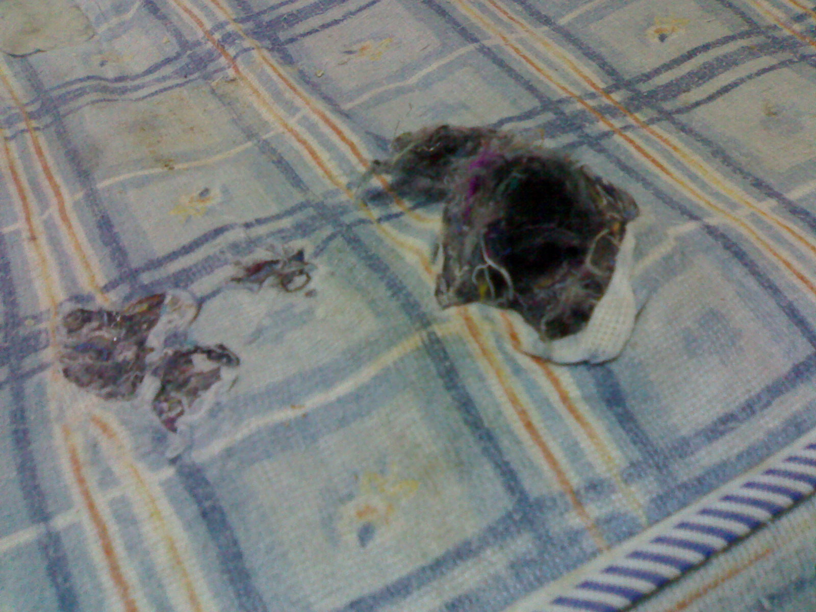 Asa arata un spital din Romania! Afara e termopanul, inauntru-i sobolanul!