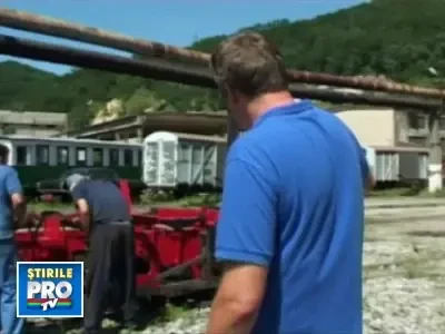 E legal sa scoti mocanitele afara din Romania?