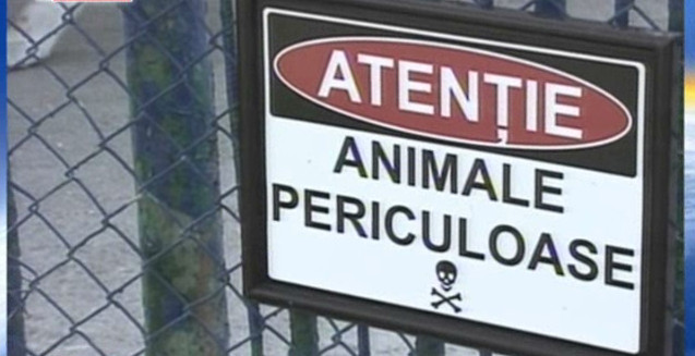 Gradina Zoologica din Targu Mures are, in aceasta perioada, incasari record