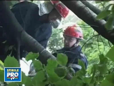 O furtuna de vara a ravasit sambata seara Bacaul!