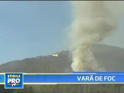 Cinci morti in Spania, din cauza incendiilor de vegetatie