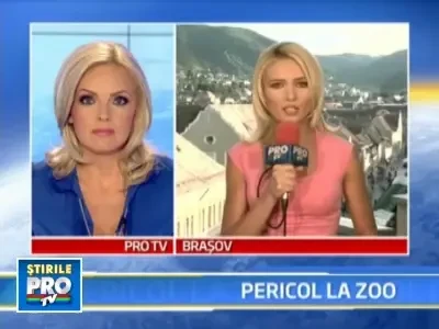 Tanarul atacat de o leoaica nu va ramane cu sechele!