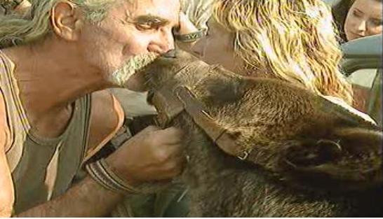 Ursi crescuti intr-o casa din Pantelimon, confiscati de Garda de Mediu