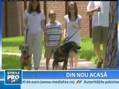 INCREDIBIL! O catelusa disparuta in timpul uraganului Ike s-a intors acasa!