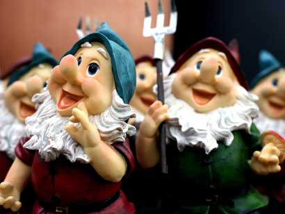 1.500 de pitici de gradina au ramas orfani!