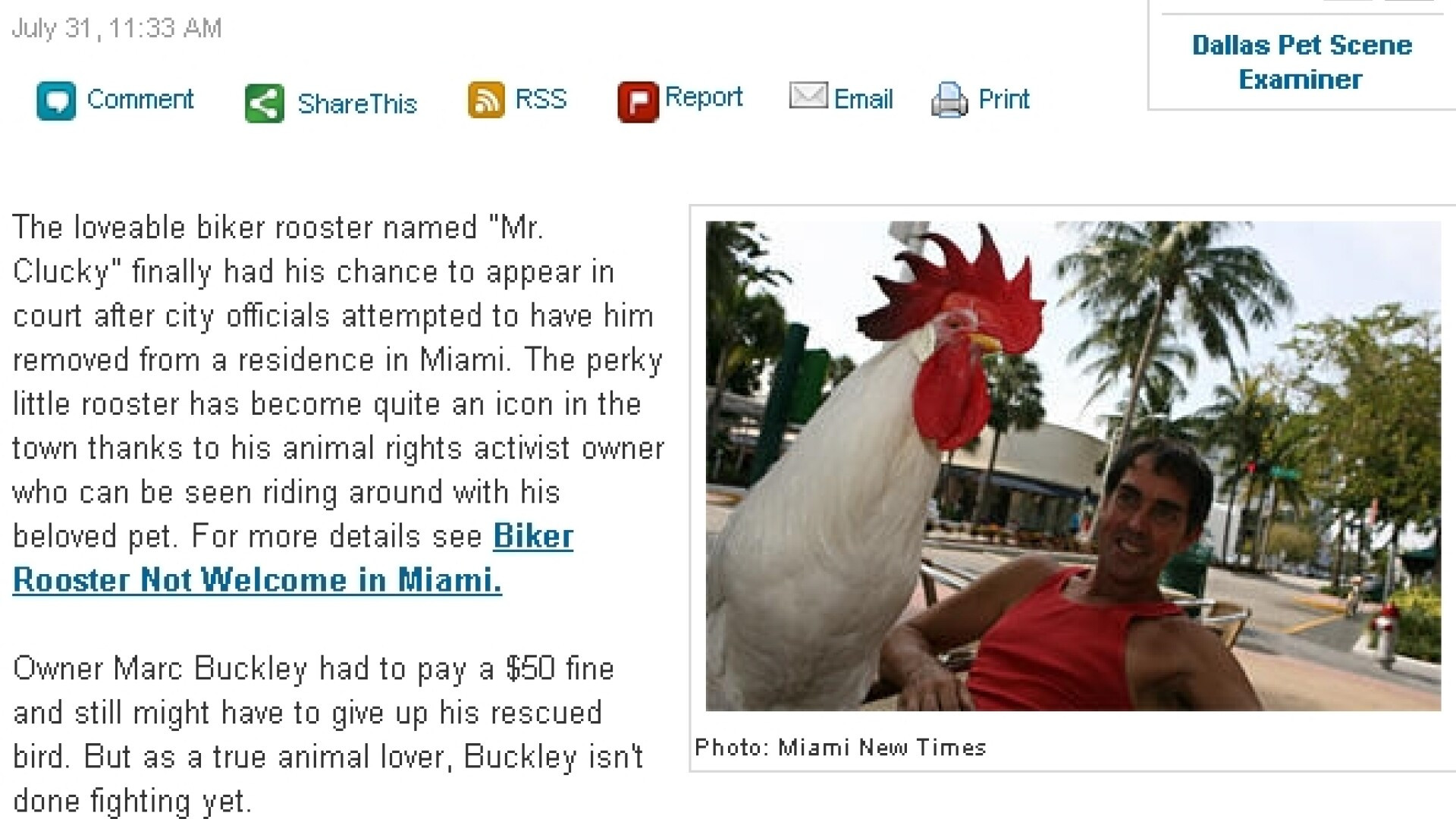 Un cocos, martor la proces!