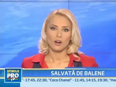 Un cocos, martor la proces!