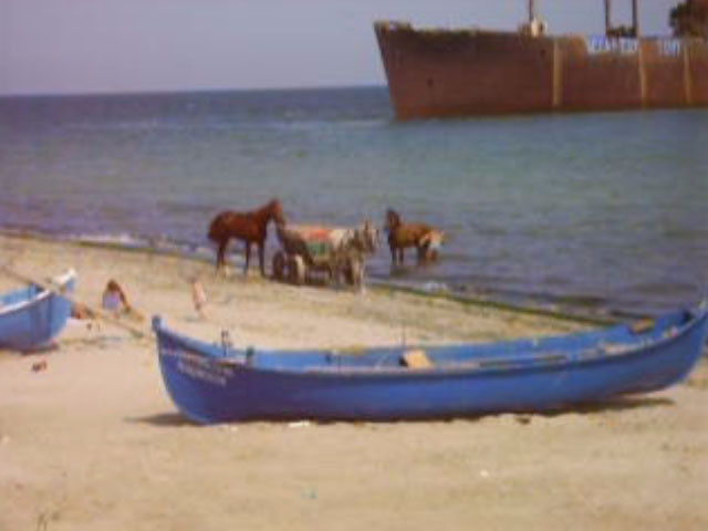 Si caii se spala in mare, nu-i asa?!