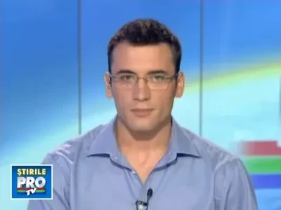 Zeci de pui de foca abandonati de mame, eliberati in mare