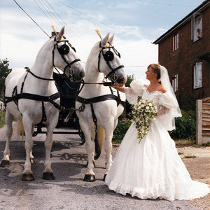 Le-a murit calul la nunta!