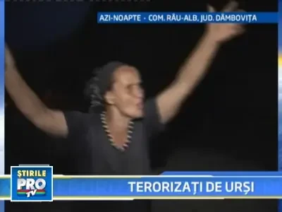 Locuitorii unei comune din Dambovita, vizitati noapte de noapte de ursi!