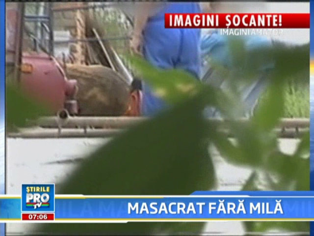 IMAGINI SOCANTE! Cal macelarit fara mila in fata unor copii!