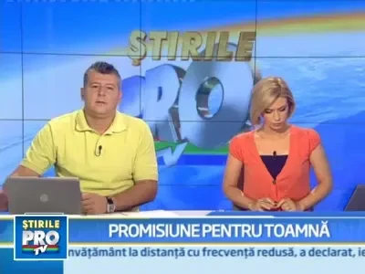 Trei cai rataciti au navalit pe o autostrada din nordul Israelului!