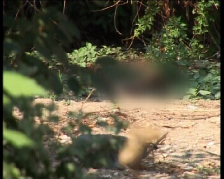 SOCANT! L-a dat cu capul de pereti, apoi i-a baut sangele!!!