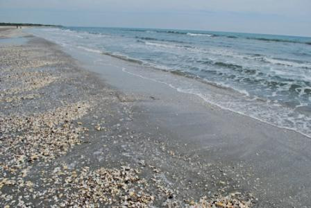 Plaja de la Corbu, pentru cei foarte stresati