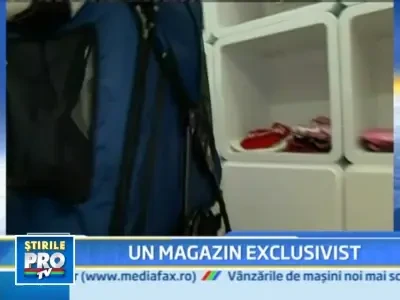 Cel mai la moda butic dedicat cateilor chihuahua!