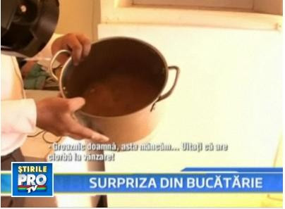 "Mancarea stricata este pentru personal!"