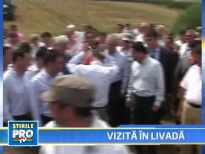 Sa traiti bine cu ceaiul care pacaleste foamea!