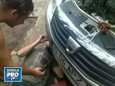 Operatiunea "Matza": o pisica salvata de sub capota unei masini!