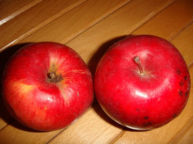 Lapte, corn si ... un mar pentru scolarii romani!