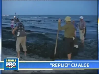 Cutremurul din Marea Neagra a scos algele la suprafata!