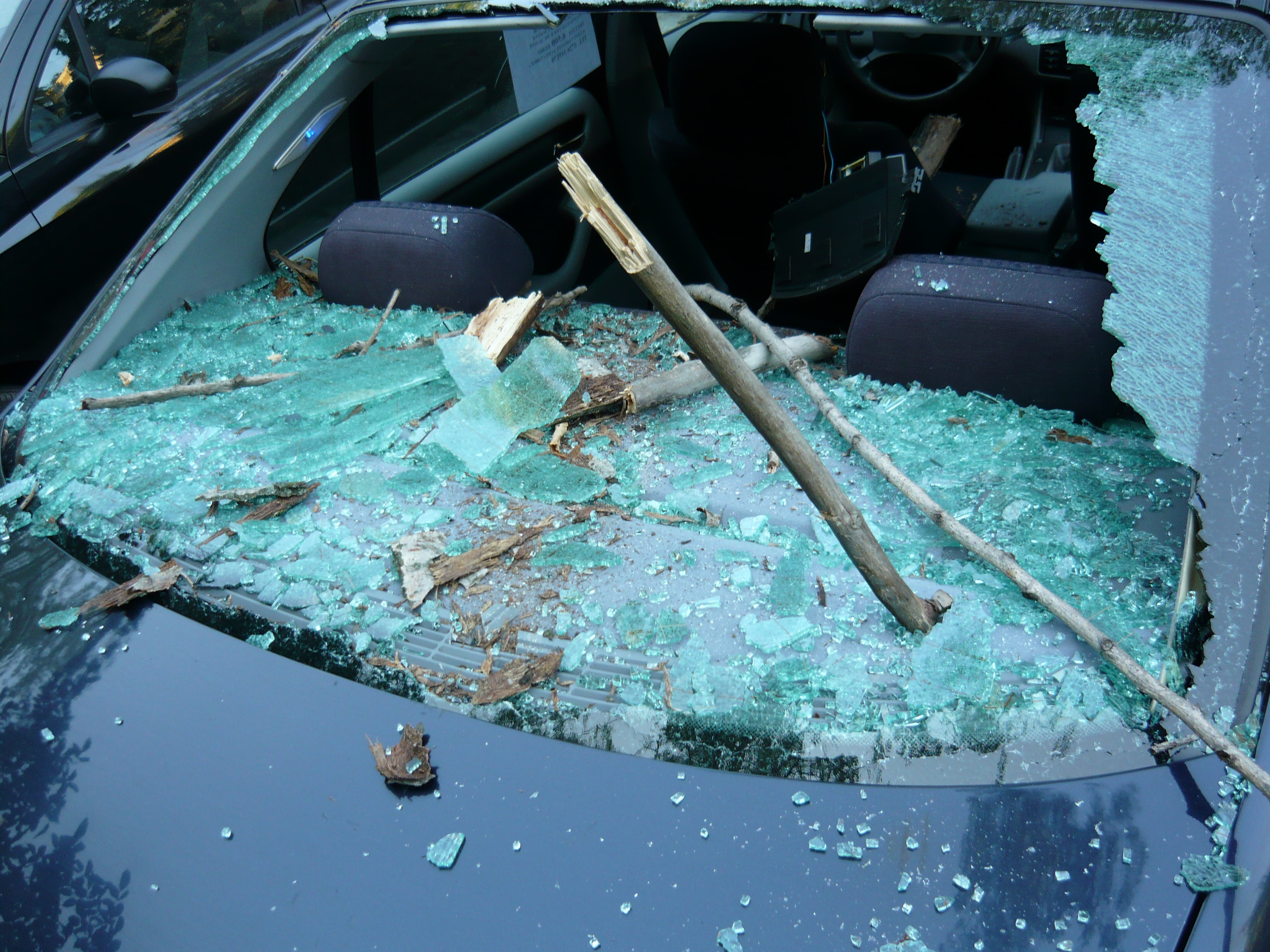 Masina facuta ferfenita de un copac! VEZI GALERIE FOTO