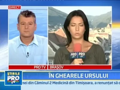 Doi turisti francezi, atacati de urs in propriul cort, la Busteni!