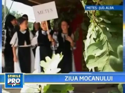 De sfanta Maria, Mocanii de pe Valea Ariesului si-au celebrat ziua!