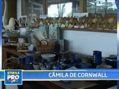 Camile in loc de cai in tinutul englez Cornwall
