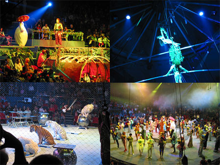 Un numar de acrobtie la inaltime a dat emotii angajatilor de la circ