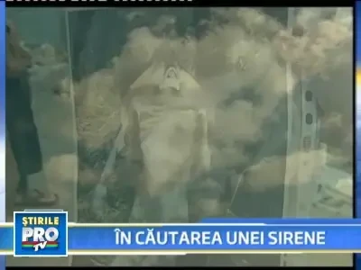 Sirenele exista! Daca pozezi una primesti un milion de dolari!