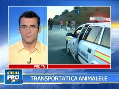 Eforturi disperate pentru impiedicarea tragediilor ca cea de la Scanteia