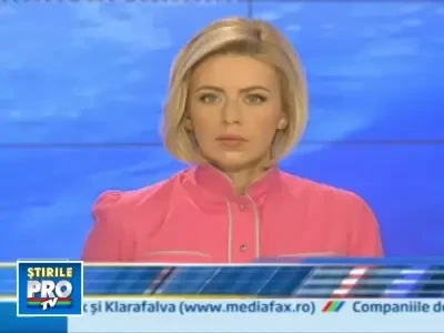 In stare critica la spital, dupa ce un copac s-a prabusit peste el