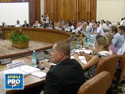 Guvernul nu tine nici cu Andronescu, nici cu Miclea!