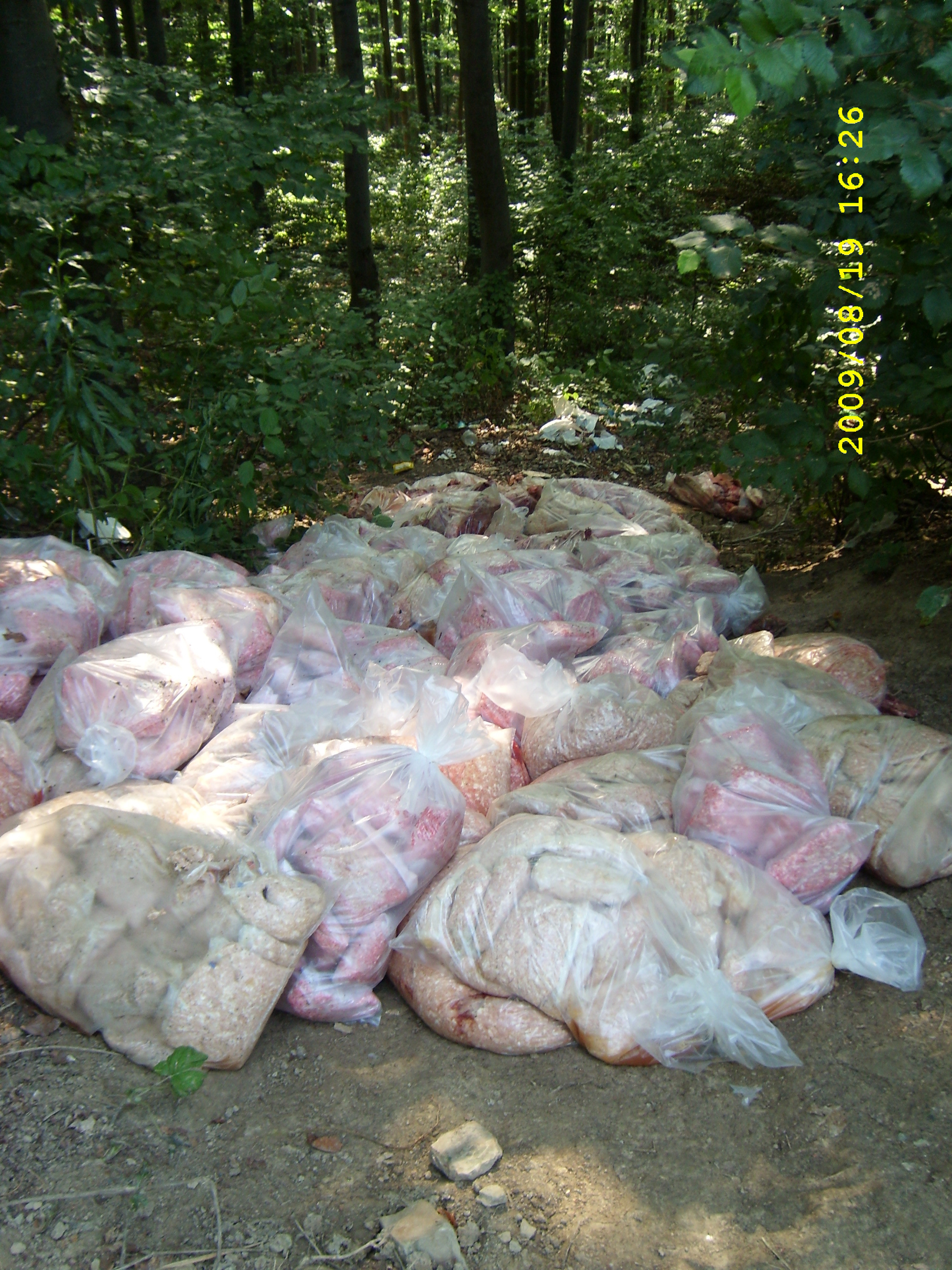 Focar de infectie! Carne stricata aruncata la marginea soselei