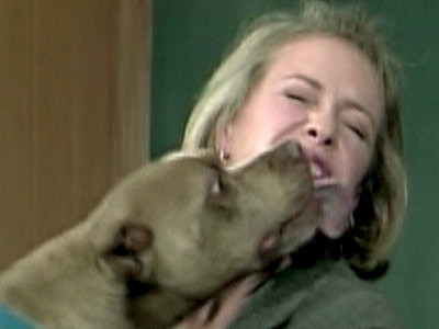 Prezentatoare TV, linsa de un pitbull! Din cap pana-n picioare!