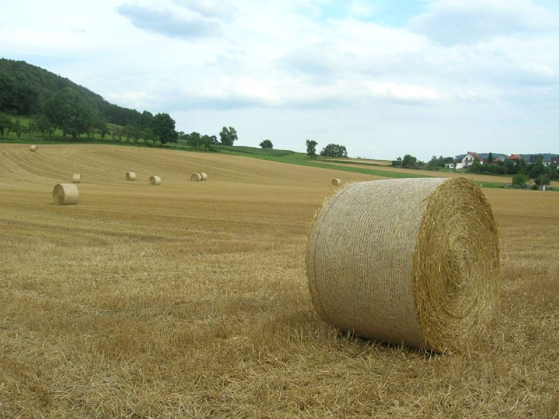 Si-a cerut iubita in casatorie cu ajutorul unor baloti de paie!