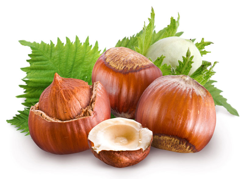 Alunele de padure, pentru un rontait sanatos!