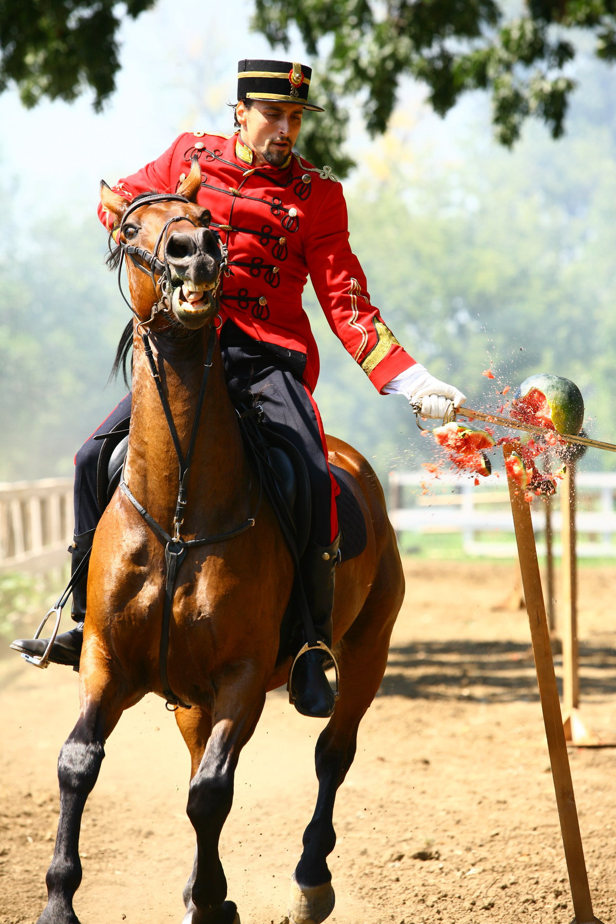 Denis Stefan si Pavel Bartos sunt in Regimentul IV Rosiori in “Aniela"