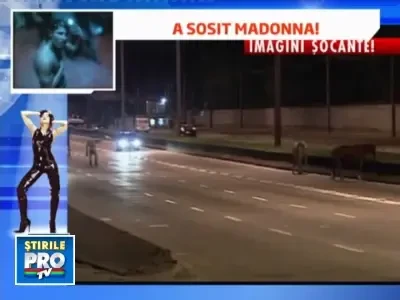 Accident infiorator: cal spulberat pe autostrada!