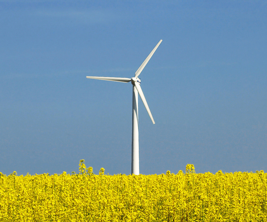 Sistemele eoliene, solutia care taie din costul facturii la electricitate. Cat poti economisi pe an