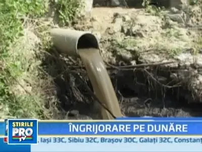 Dunarea, poluata masiv de o ferma de porci!