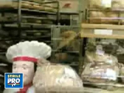 Pasarica alba-n cioc, ciuguleste paine din magazin cu foc!