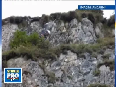 20 de capre cazute intr-o rapa, salvate de jandarmii din Bistrita-Nasaud