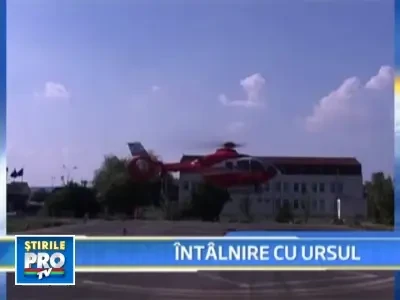 Risca sa ramana mut dupa ce a fost atacat de o ursoaica!