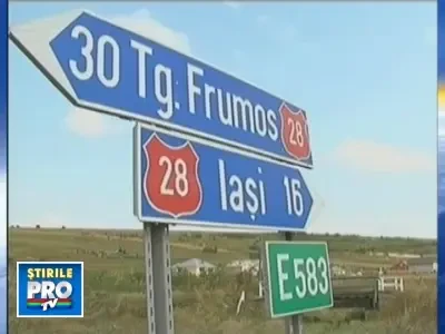 Cai loviti de o masina, lasati sa agonizeze 30 de ore pe marginea drumului!