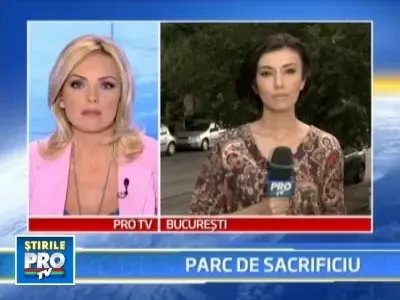 Concertul Madonnei din Bucuresti a lasat in urma un parc complet distrus!