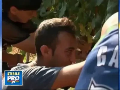 Anul acesta bem must mai devreme! Si de pofta, dar si din cauza caldurii