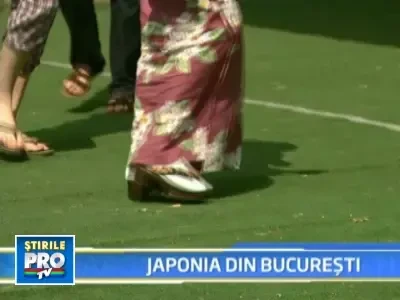 Un colt din misterioasa Japonie, la Muzeul Satului din Bucuresti